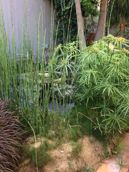 Serenity House Near Gaslamp, San Diego Zoo & Petco Exterior foto
