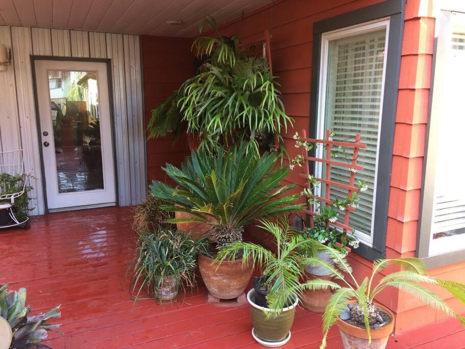 Serenity House Near Gaslamp, San Diego Zoo & Petco Exterior foto